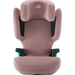 Britax HI-LINER Dusty Rose