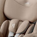 Britax DUALFIX 5Z Teak